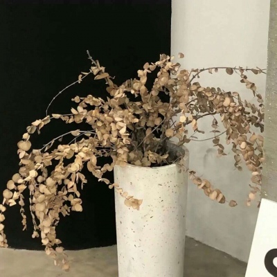 古丈福瑞交流群